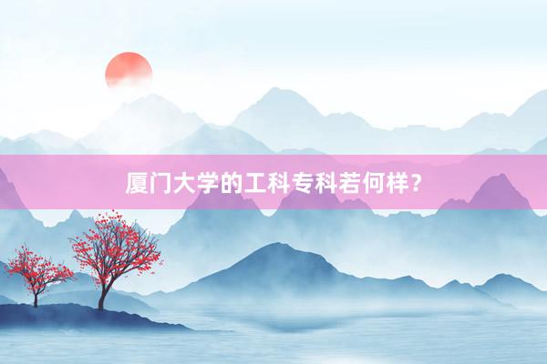 厦门大学的工科专科若何样？